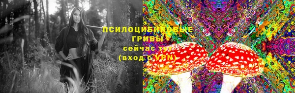 дмт Бородино