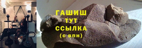 дмт Бородино