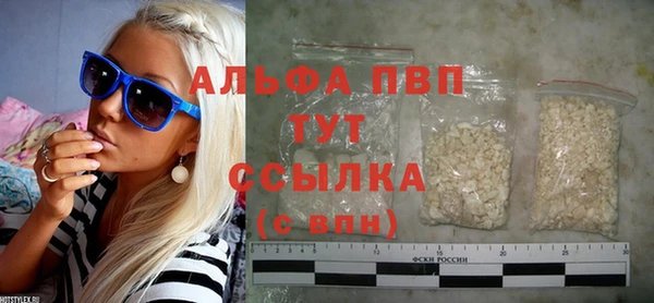 дмт Бородино