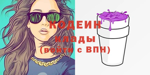 дмт Бородино