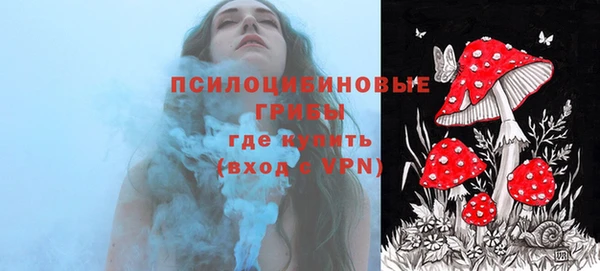 тгк Богородск